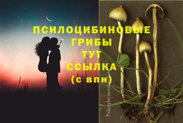 героин Алзамай