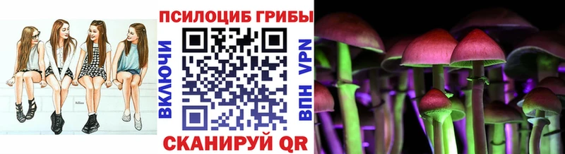 Псилоцибиновые грибы GOLDEN TEACHER  Ветлуга 